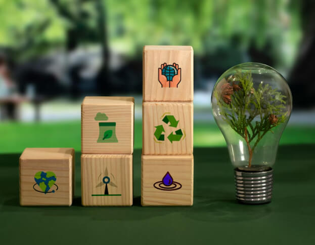 Carbon_Footprint_tab_img