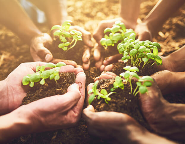 Social-Impact_yab_img (1)